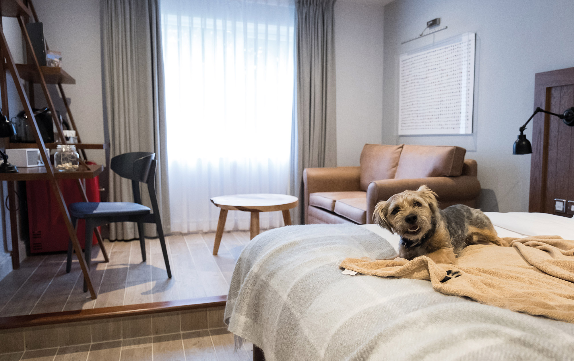does morongo casino have pet friendly rooms